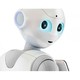 Thumb pepper for business edition humanoid robot 2 years warranty