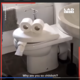 Thumb toilet frog